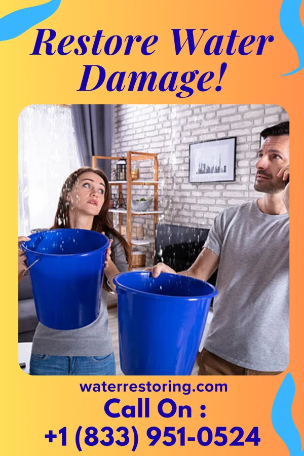 water restoration Sentinel Damage Restoration Team Marianne