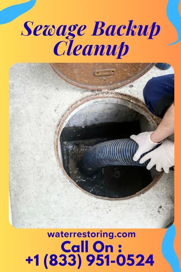 Sewage Backup Cleanup in Marianne, PA